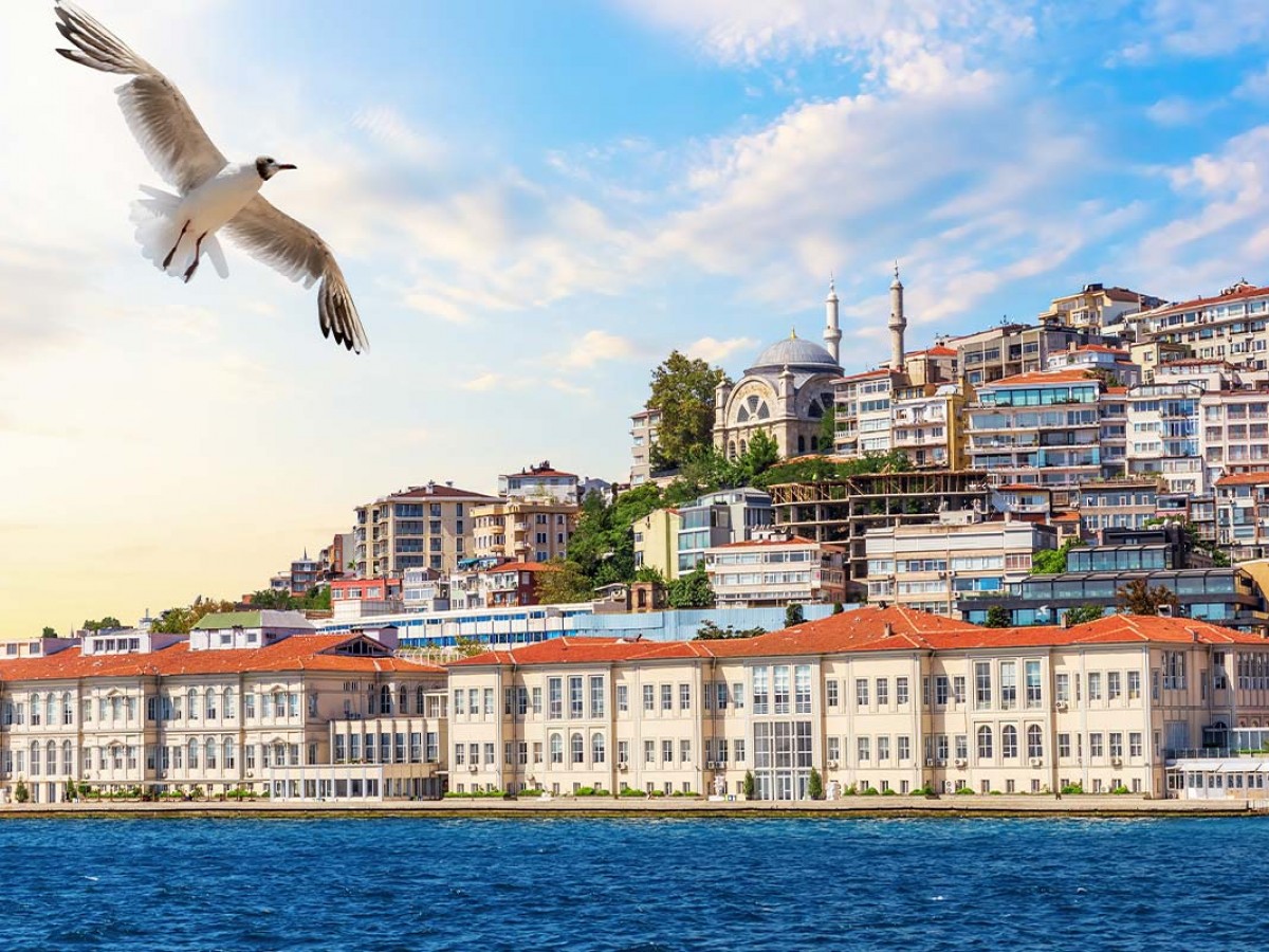 3 BEST TOURS IN 1 PRICE / ISTANBUL COMBO : Guided Old City Tour + Princes Islands Tour + Bosphorus Dinner Cruise 3 BEST TOURS IN 1 PRICE / ISTANBUL COMBO : Guided Old City Tour + Princes Islands Tour + Bosphorus Dinner Cruise – photo 4
