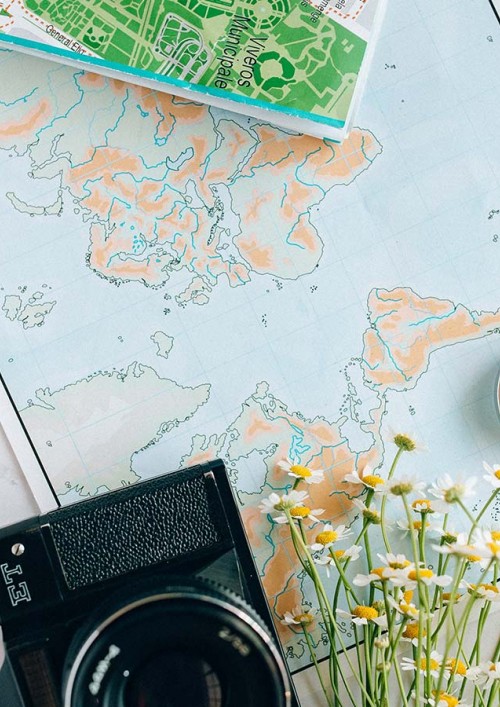 LICENSED PROFESSIONAL GUIDE